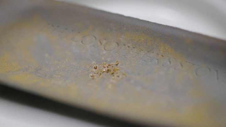 Ερευνητές έφτιαξαν χρυσό 24 καρατίων χρησιμοποιώντας βακτήρια! 